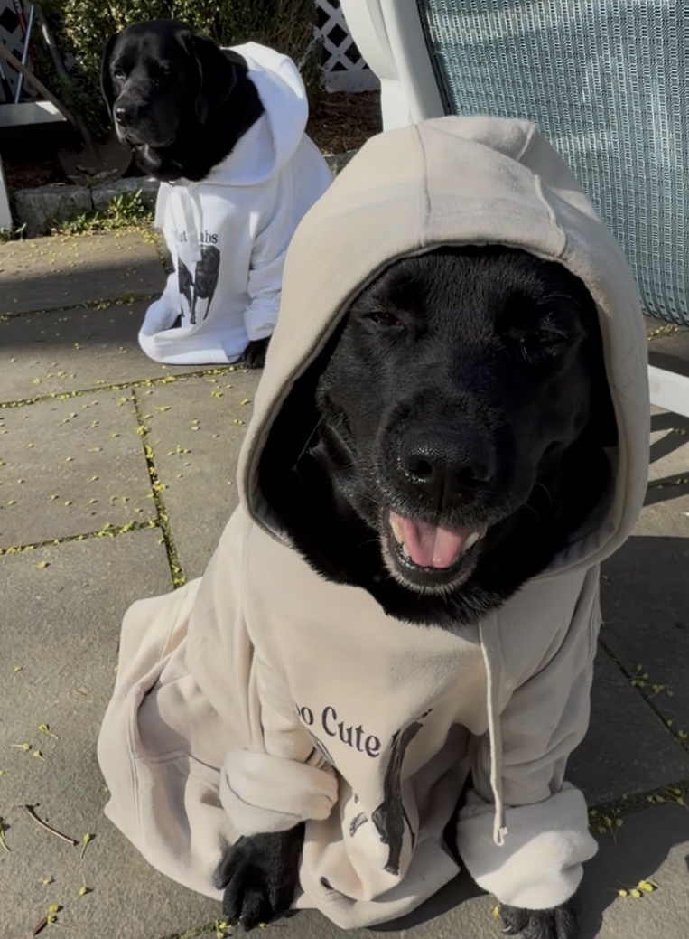 TooCuteLabs Signature Hoodie